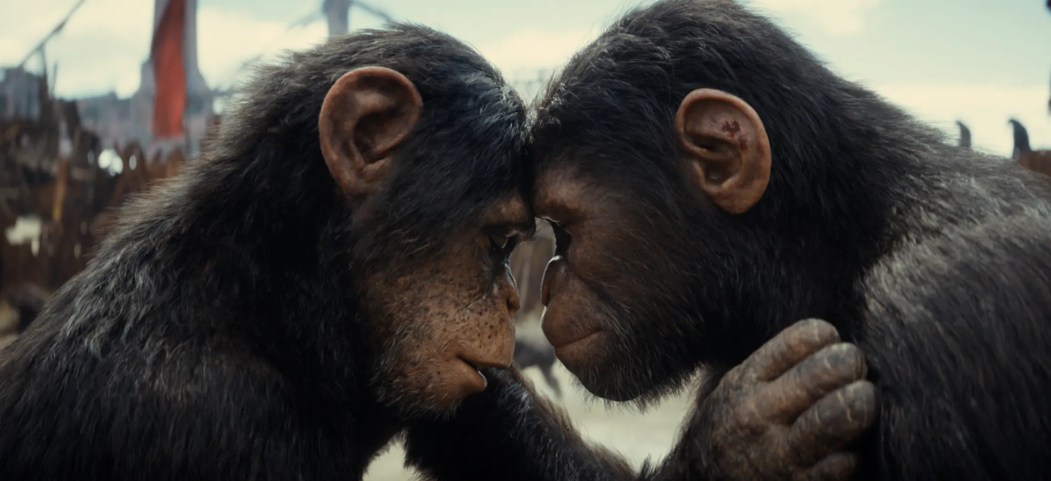 Crítica | Planeta dos Macacos: O Reinado não é um caça-níquel