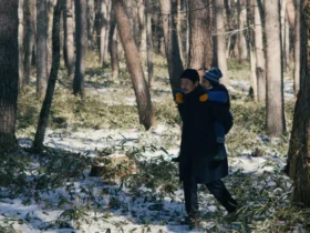 Crítica | O Mal Não Existe: há algo desagradável nas florestas do Japão