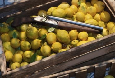 Mafia The Old Country