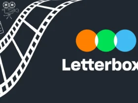 Letterboxd | conheça a rede social dos cinéfilos que conquistou a internet