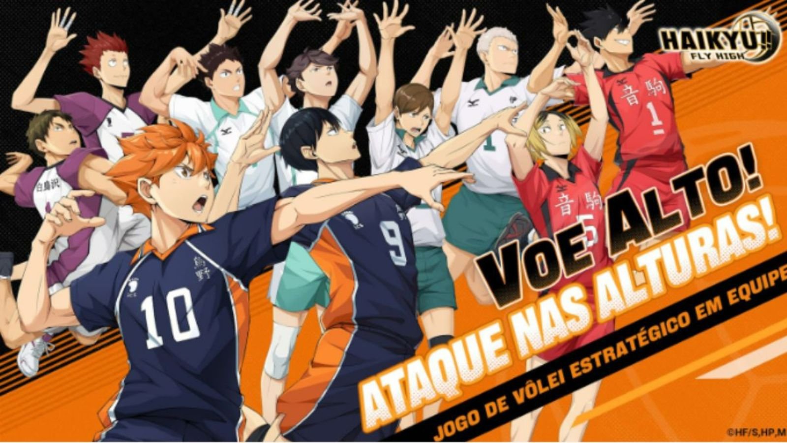 HAIKYUU!! FLY HIGH