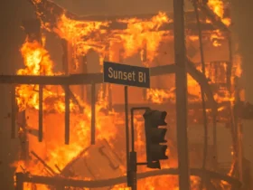 Incêndio Los Angeles
