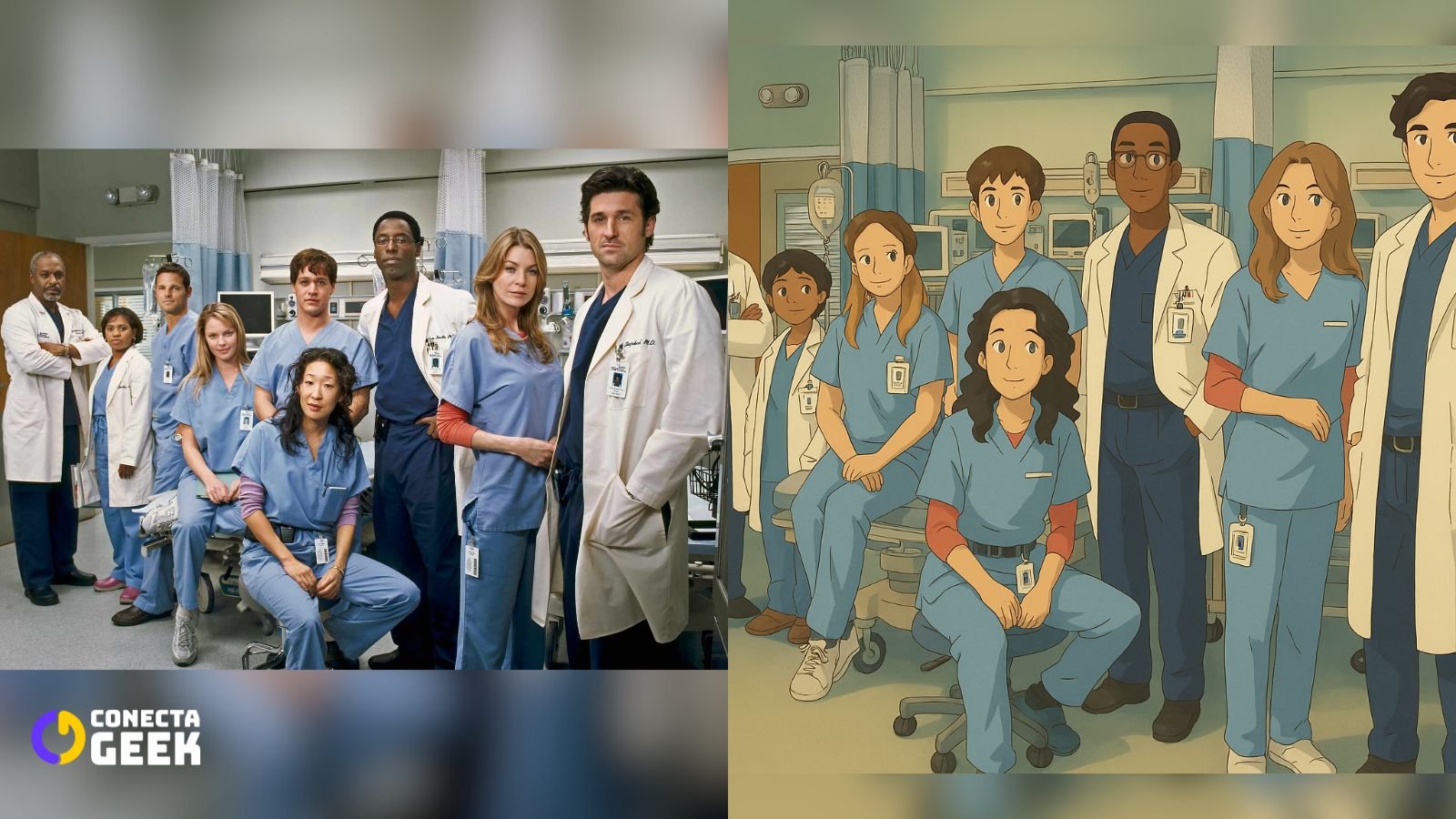 greys anatomy studio ghibli