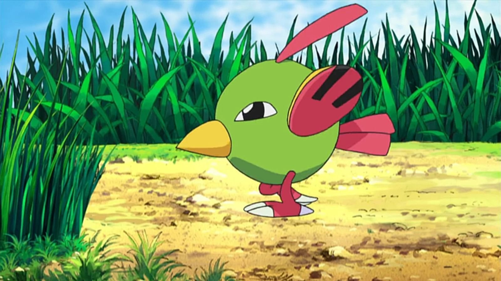 natu pokémon