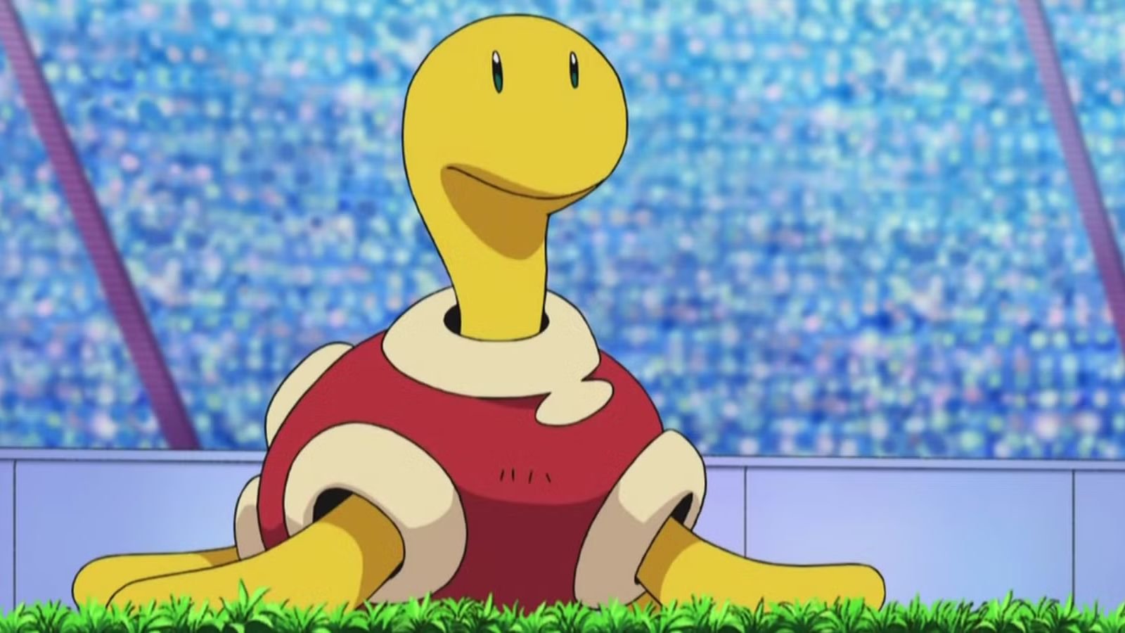 Shuckle pokémon