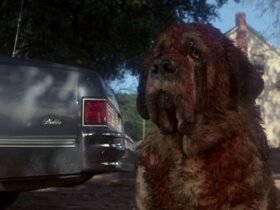 Remake de ‘Cujo’, de Stephen King, está em desenvolvimento na Netflix