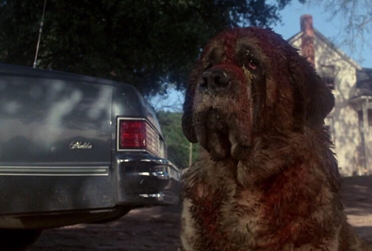 Remake de ‘Cujo’, de Stephen King, está em desenvolvimento na Netflix