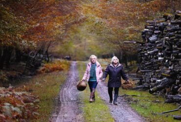 Crítica | Quando Chega o Outono: culpa, redenção e os segredos que envelhecem conosco