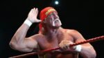 Hulk Hogan WWE