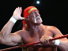 Hulk Hogan WWE