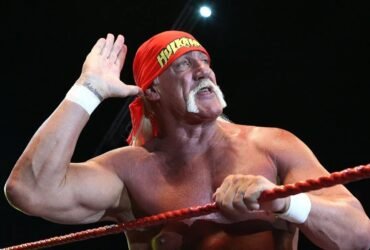 Hulk Hogan WWE