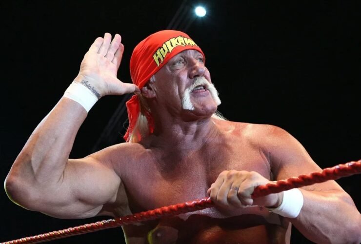 Hulk Hogan WWE