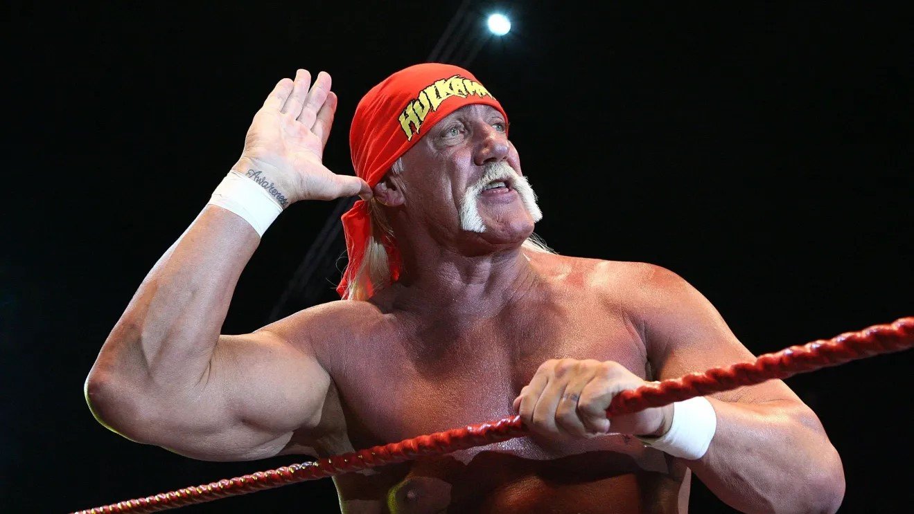 Hulk Hogan WWE