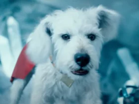 Superman impulsiona adoção de cães nos EUA após estreia de Krypto nos cinemas