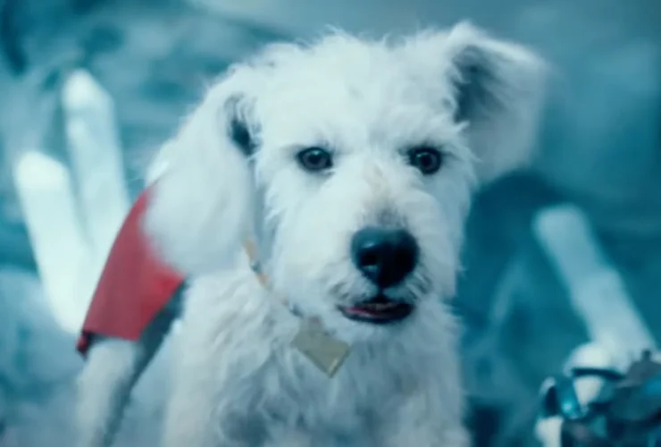 Superman impulsiona adoção de cães nos EUA após estreia de Krypto nos cinemas