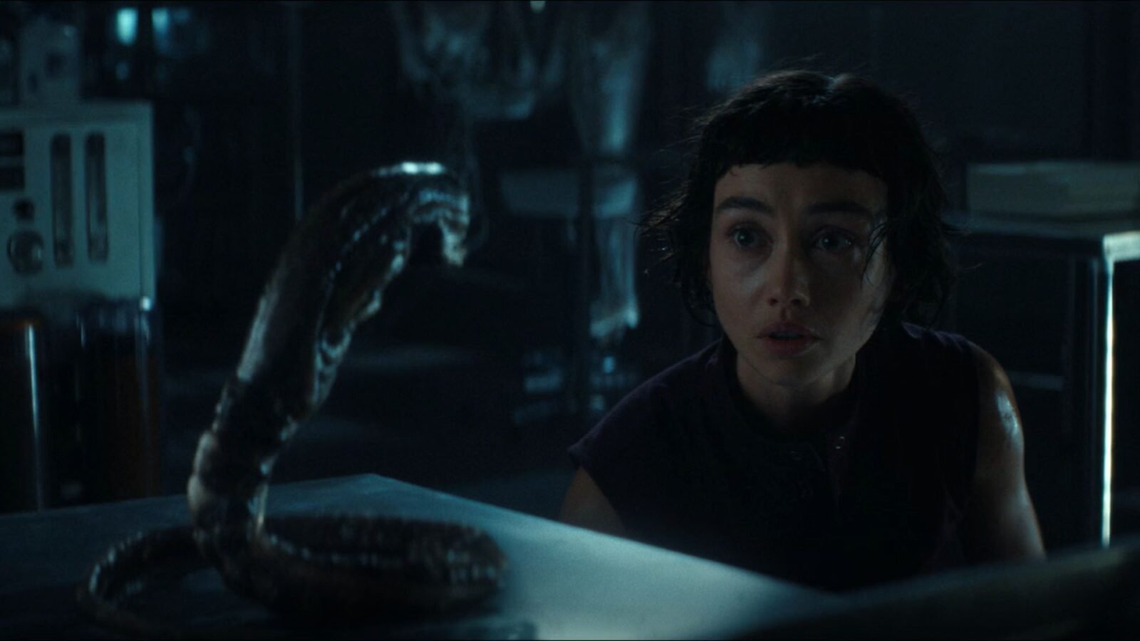 Crítica | Alien: Earth 1x4 – O olhar perturbador de 'Observação'