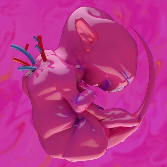 Haru Nemuri, capa