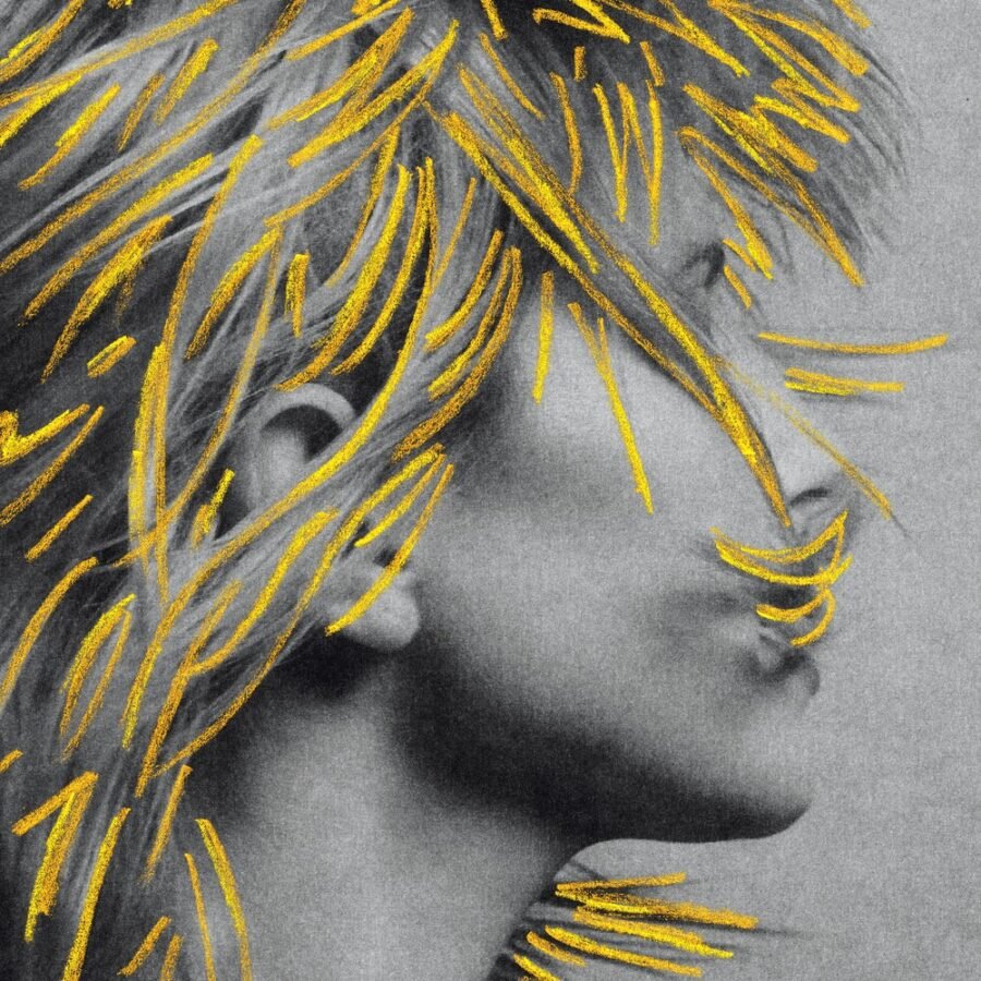 Hayley Williams - Ego, capa