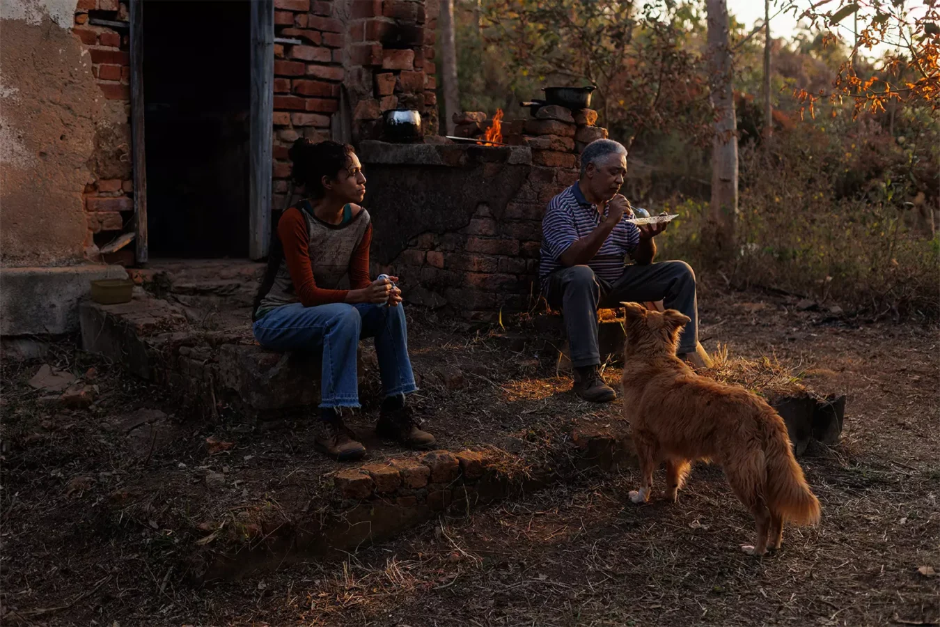 Crítica | Suçuarana: o Brasil profundo encontra, enfim, sua melhor tradução de 'Na Estrada'