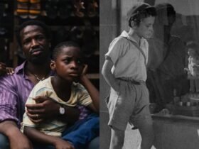 49ª Mostra | Aniki-Bóbó; A Sombra do Meu Pai