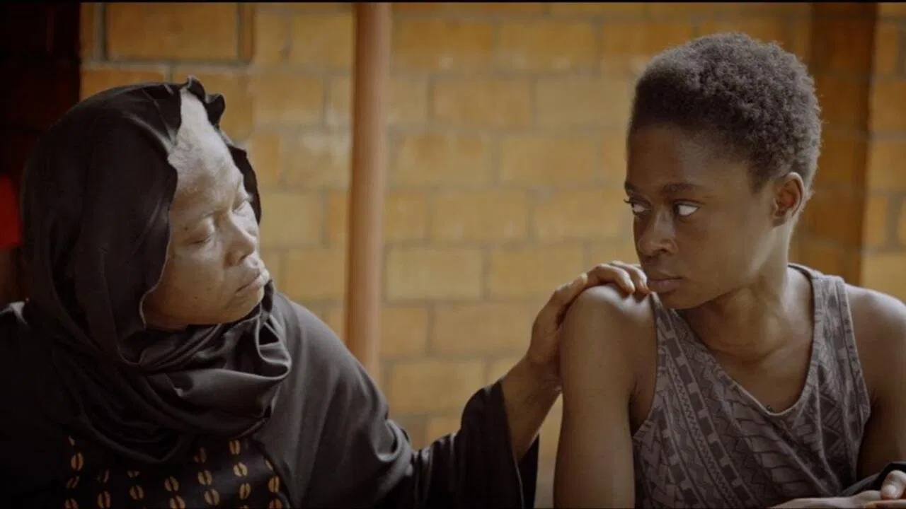 49ª Mostra | A Incrível Eleanor; As Desvirtuosas; Jay Kelly