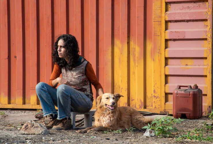 Crítica | Suçuarana: o Brasil profundo encontra, enfim, sua melhor tradução de 'Na Estrada'