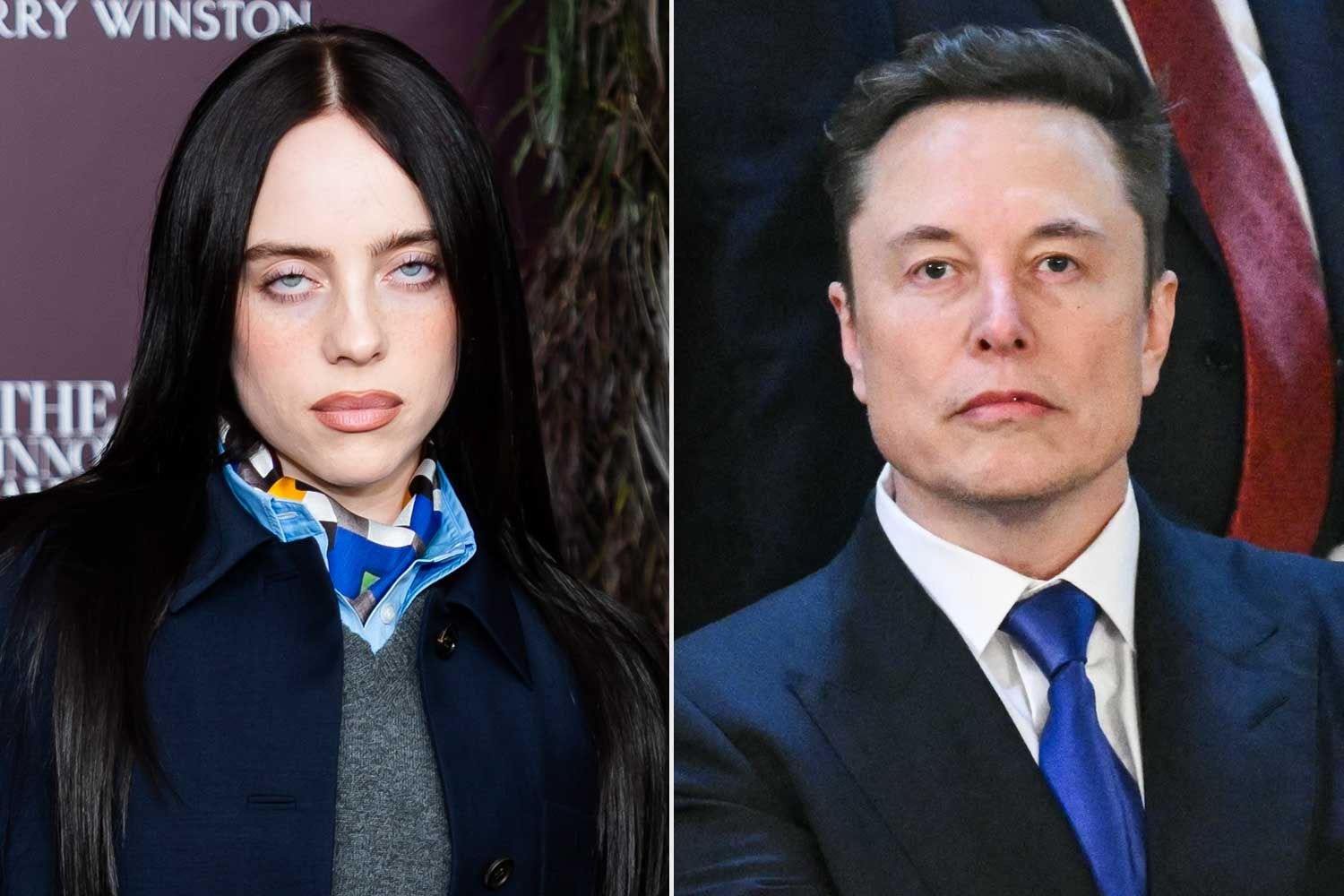 Billie Eilish e Elon Musk