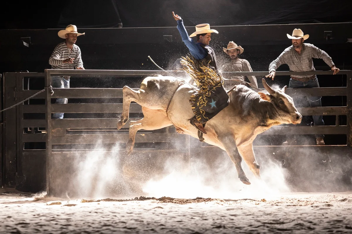 Crítica | Asa Branca até faz um movimento ousado, mas é mais uma cinebiografia acomodada