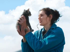 Crítica | Em 'Sorry, Baby', o trauma não é um evento, mas uma paisagem a ser atravessada