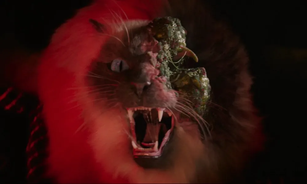 Crítica | Alerta Apocalipse junta boas ideias presas em um fim do mundo comportado