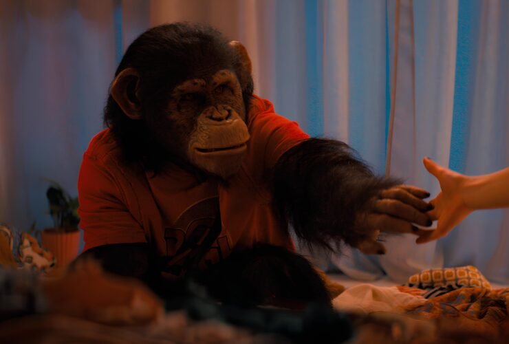 Crítica | O Primata prova que o pior inimigo é quem não precisa de motivo