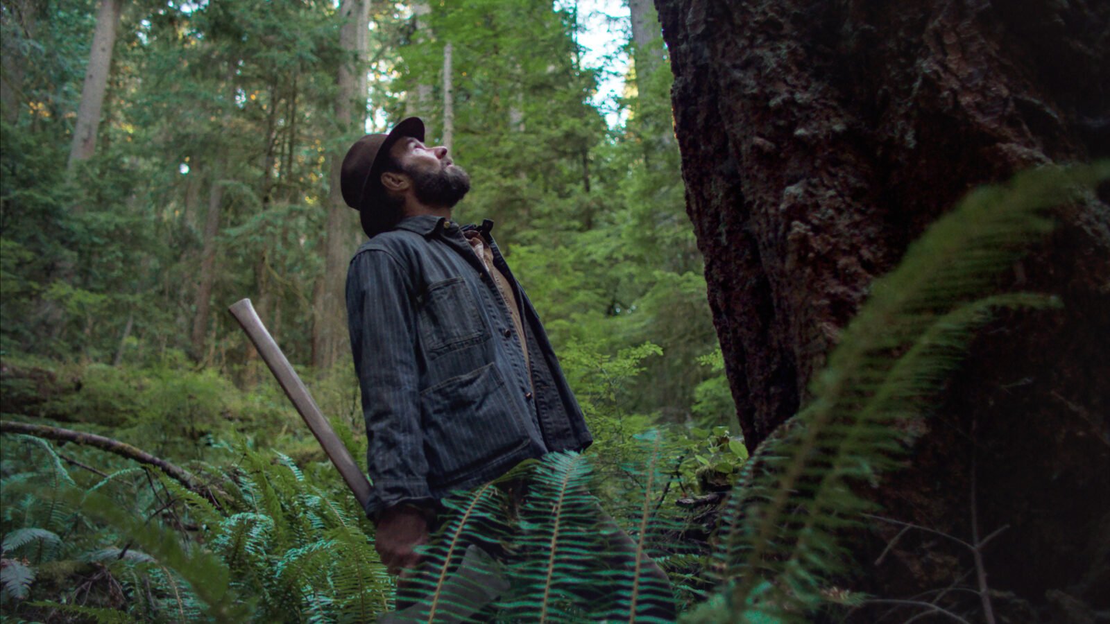 Crítica | Sonhos de Trem trabalha viaja pelos trilhos de uma bela paisagem vazia