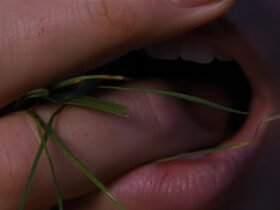 "O Morro dos Ventos Uivantes" até tenta, mas ele não é brat
