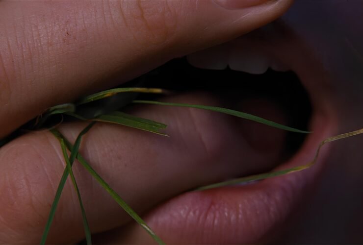 "O Morro dos Ventos Uivantes" até tenta, mas ele não é brat