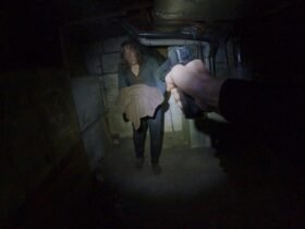 Crítica | Em 'POV' o terror vira álibi para a violência policial