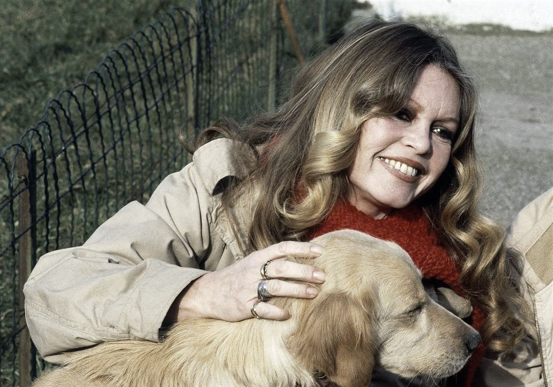 Crítica | Bardot e o medo de encarar o próprio mito