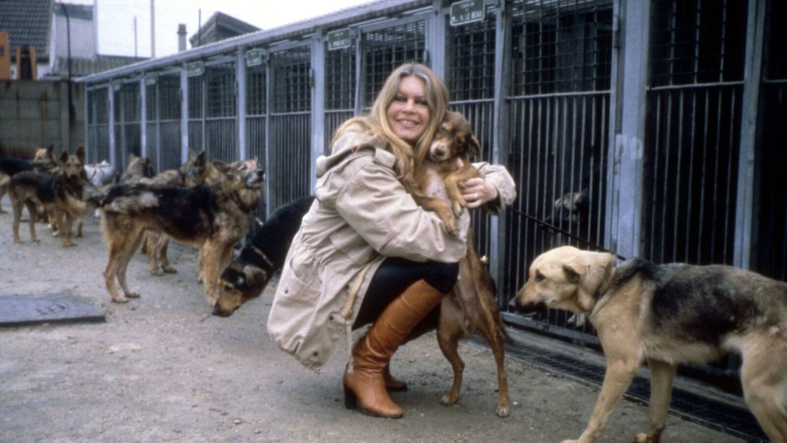 Crítica | Bardot e o medo de encarar o próprio as complexidades de um mito