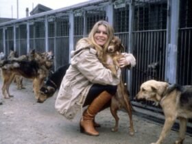 Crítica | Bardot e o medo de encarar o próprio as complexidades de um mito