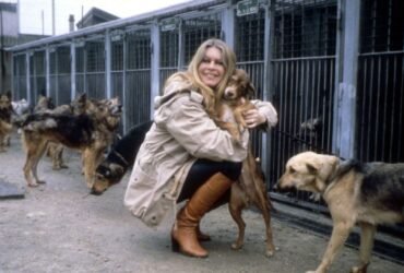 Crítica | Bardot e o medo de encarar o próprio as complexidades de um mito