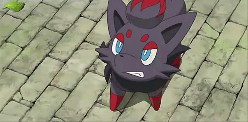 Zorua Pokémon