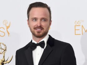Aaron Paul fallout