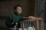 Harry Potter Renovada