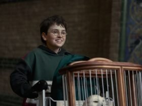 Harry Potter Renovada