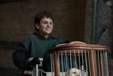 Harry Potter Renovada