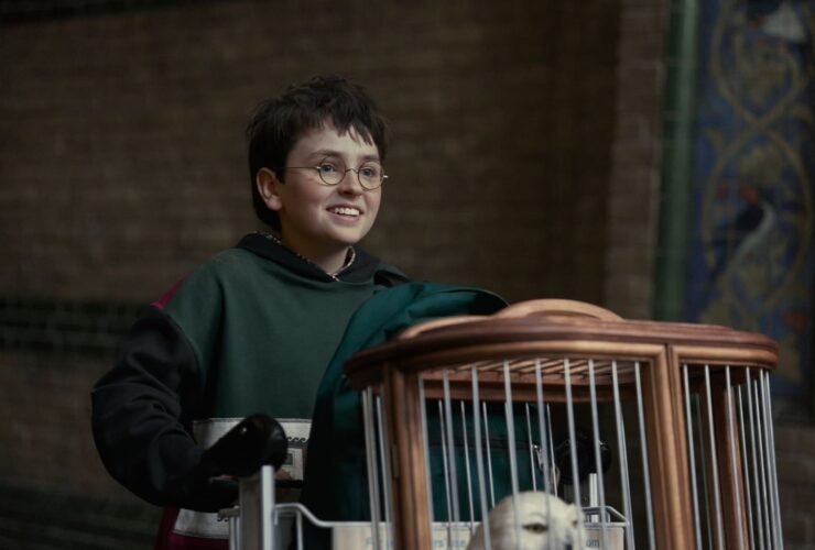 Harry Potter Renovada