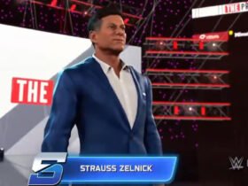 Strauss Zelnick WWE