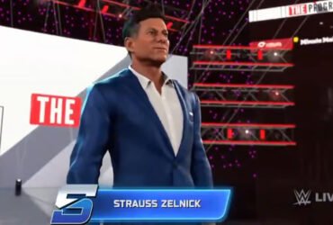 Strauss Zelnick WWE