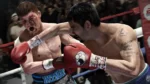 Fight Night