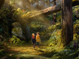 O Bosque Selvagem filme